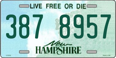 NH license plate 3878957