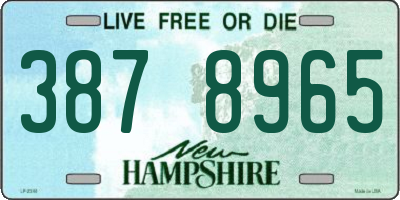 NH license plate 3878965