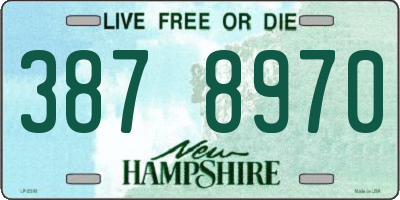 NH license plate 3878970