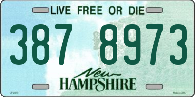 NH license plate 3878973