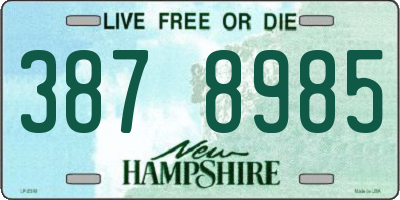 NH license plate 3878985
