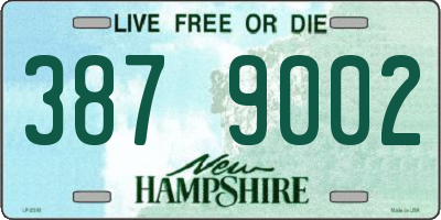 NH license plate 3879002