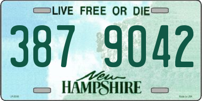 NH license plate 3879042