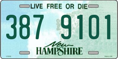 NH license plate 3879101