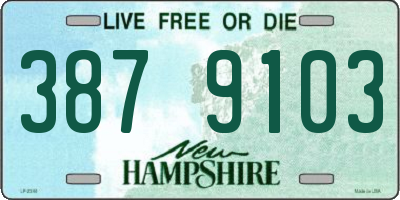 NH license plate 3879103