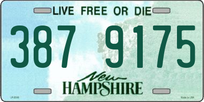 NH license plate 3879175