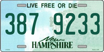 NH license plate 3879233