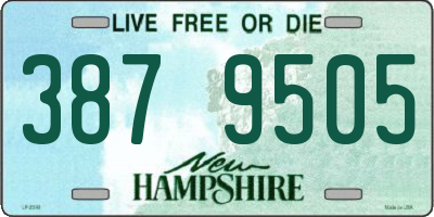 NH license plate 3879505