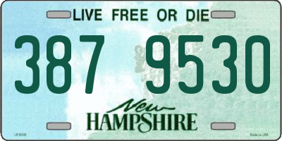 NH license plate 3879530