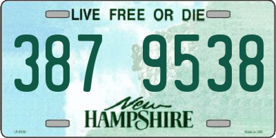 NH license plate 3879538