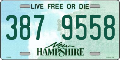 NH license plate 3879558
