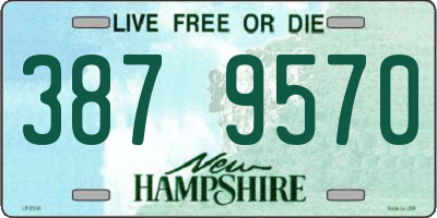 NH license plate 3879570