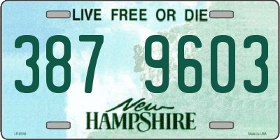 NH license plate 3879603