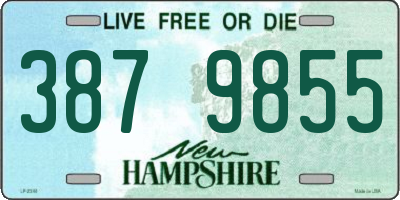 NH license plate 3879855