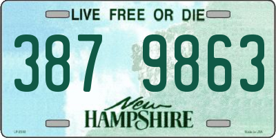 NH license plate 3879863