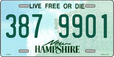 NH license plate 3879901