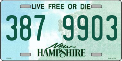 NH license plate 3879903