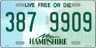 NH license plate 3879909
