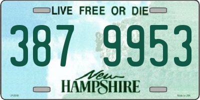NH license plate 3879953