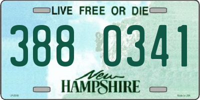 NH license plate 3880341