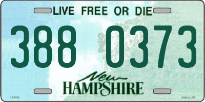 NH license plate 3880373
