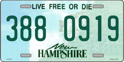NH license plate 3880919