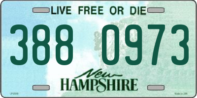 NH license plate 3880973