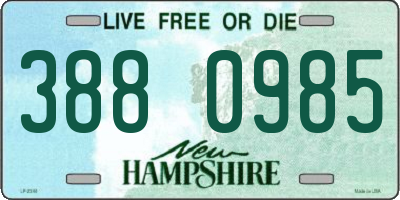 NH license plate 3880985