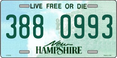 NH license plate 3880993