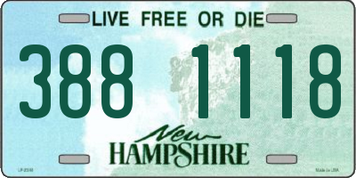 NH license plate 3881118