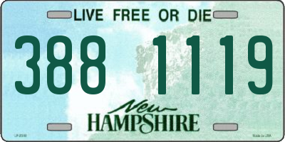 NH license plate 3881119