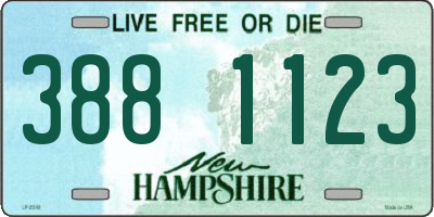 NH license plate 3881123