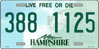 NH license plate 3881125