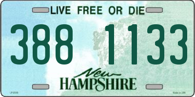 NH license plate 3881133