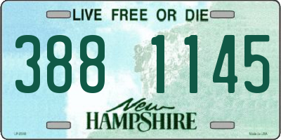 NH license plate 3881145