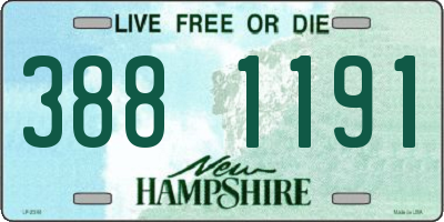 NH license plate 3881191