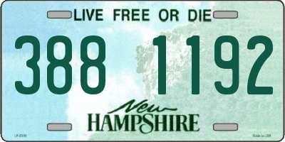 NH license plate 3881192