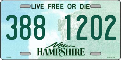 NH license plate 3881202