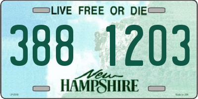 NH license plate 3881203