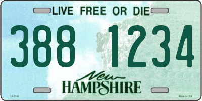 NH license plate 3881234