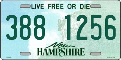 NH license plate 3881256