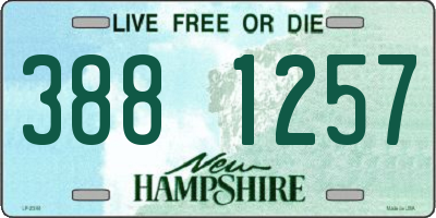 NH license plate 3881257