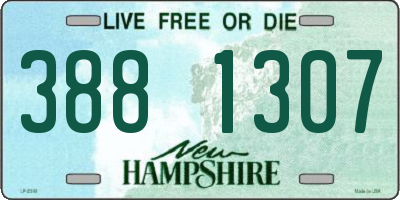 NH license plate 3881307
