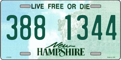 NH license plate 3881344