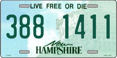 NH license plate 3881411