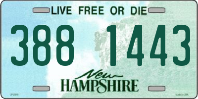 NH license plate 3881443