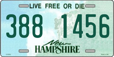 NH license plate 3881456
