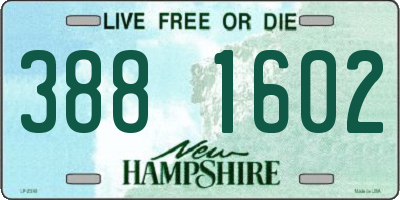 NH license plate 3881602