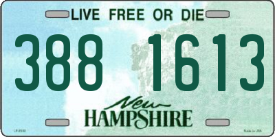 NH license plate 3881613