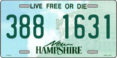 NH license plate 3881631
